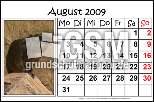 8-August-2009-quer.jpg